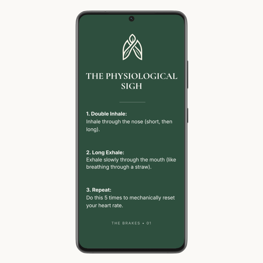 The Rescue Deck Phone Wallpapers